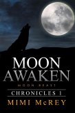 Moon Awaken (eBook, ePUB)