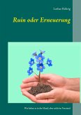 Ruin oder Erneuerung (eBook, ePUB)