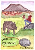 Sini ja pöllökivi (eBook, ePUB)