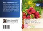 Salt Stress Tolerance of Strawberry Cultivar In vitro and In vivo