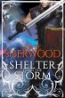 Shelter from the Storm (eBook, ePUB) - Bild 1
