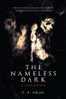 The Nameless Dark (eBook, ePUB) - Bild 1