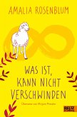 Was ist, kann nicht verschwinden (eBook, ePUB)