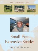 Small Feet Extensive Strides (eBook, ePUB)
