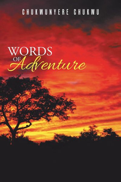 Words of Adventure (eBook, ePUB)