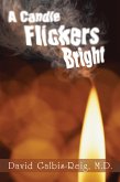 A Candle Flickers Bright (eBook, ePUB)