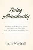 Living Abundantly (eBook, ePUB)