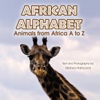 African Alphabet (eBook, ePUB)