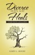 Divorce Hurts, God Heals (eBook, ePUB) - Bild 1
