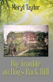 Big Trouble on Hog's Back Hill (eBook, ePUB)