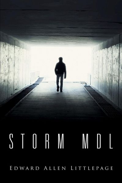 Storm Mdl (eBook, ePUB)