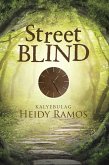 Street Blind (eBook, ePUB)