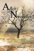 After November (eBook, ePUB)