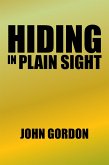 Hiding in Plain Sight (eBook, ePUB)