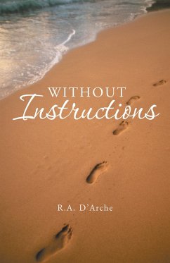 Without Instructions (eBook, ePUB) - D'Arche, R. A.