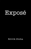 Exposé (eBook, ePUB)