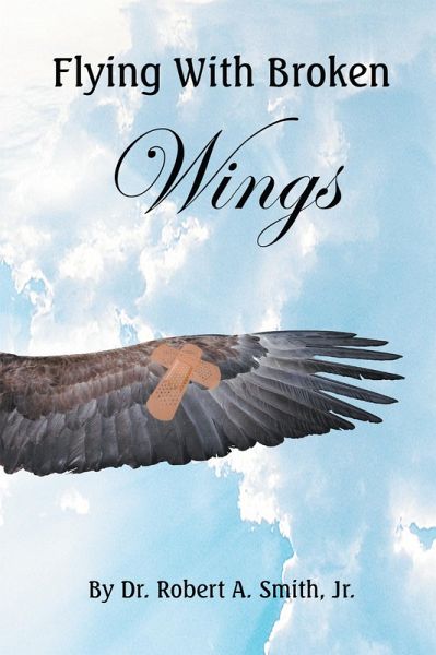 Flying with Broken Wings (eBook, ePUB)
