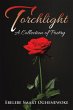 Torchlight (eBook, ePUB) - Bild 1