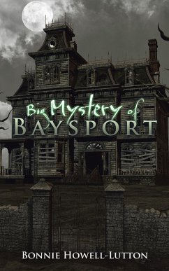Big Mystery of Baysport (eBook, ePUB)