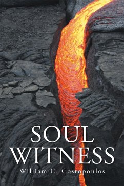 Cover Soul Witness (eBook, ePUB)