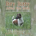 Itty Bitty After the Rain (eBook, ePUB)
