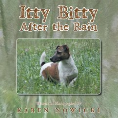 Cover Itty Bitty After the Rain (eBook, ePUB)