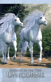 Journey of the Two Unicorns (eBook, ePUB)