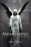 The Awakening (eBook, ePUB)