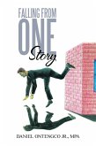 Falling from One Story (eBook, ePUB)