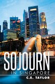 Sojourn in Singapore (eBook, ePUB)