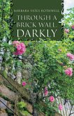 Through a Brick Wall, Darkly (eBook, ePUB)