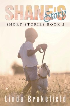 Cover Shane's Story (eBook, ePUB)