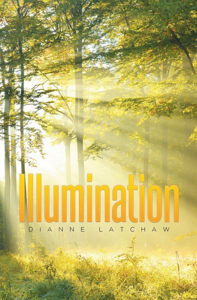 Illumination (eBook, ePUB)