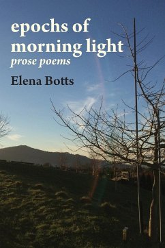 epochs of morning light - Botts, Elena