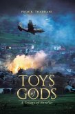 Toys of Gods (eBook, ePUB)