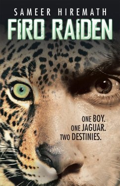 Firo Raiden (eBook, ePUB) - Hiremath, Sameer