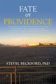 Fate or Providence (eBook, ePUB)