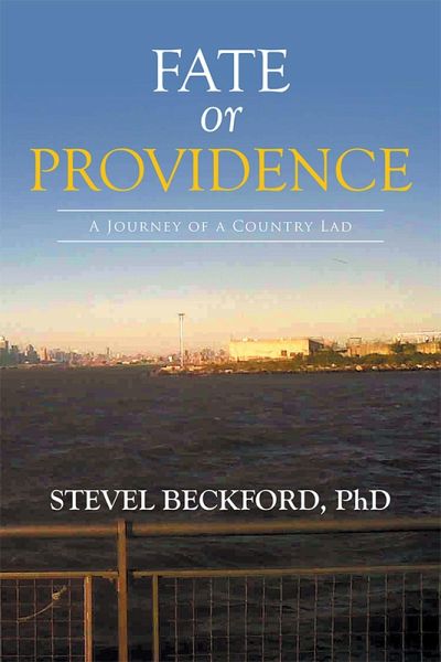 Fate or Providence (eBook, ePUB) Fate or Providence (eBook, ePUB)