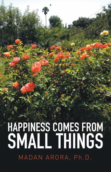 Happiness Comes from Small Things (eBook, ePUB) Happiness Comes from Small Things (eBook, ePUB)