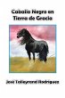 Caballo Negro En Tierra De Gracia... - Bild 1