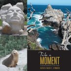 Take a Moment (eBook, ePUB)