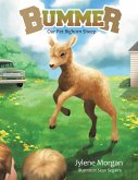 Bummer (eBook, ePUB)