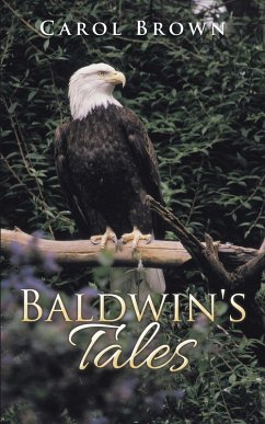 Baldwin's Tales (eBook, ePUB)