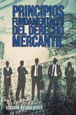 Principios Fundamentales Del Derecho Mercantil (eBook, ePUB)