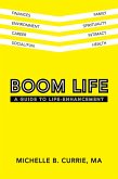 Boom Life (eBook, ePUB)