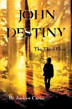 Cover John Destiny (eBook, ePUB)