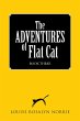The Adventures of Flat Cat (eBook, ePUB) - Bild 1