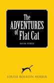 The Adventures of Flat Cat (eBook, ePUB)