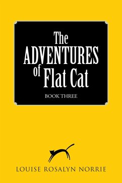 Cover The Adventures of Flat Cat (eBook, ePUB)