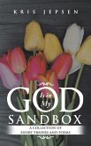 God Is in My Sandbox (eBook, ePUB)